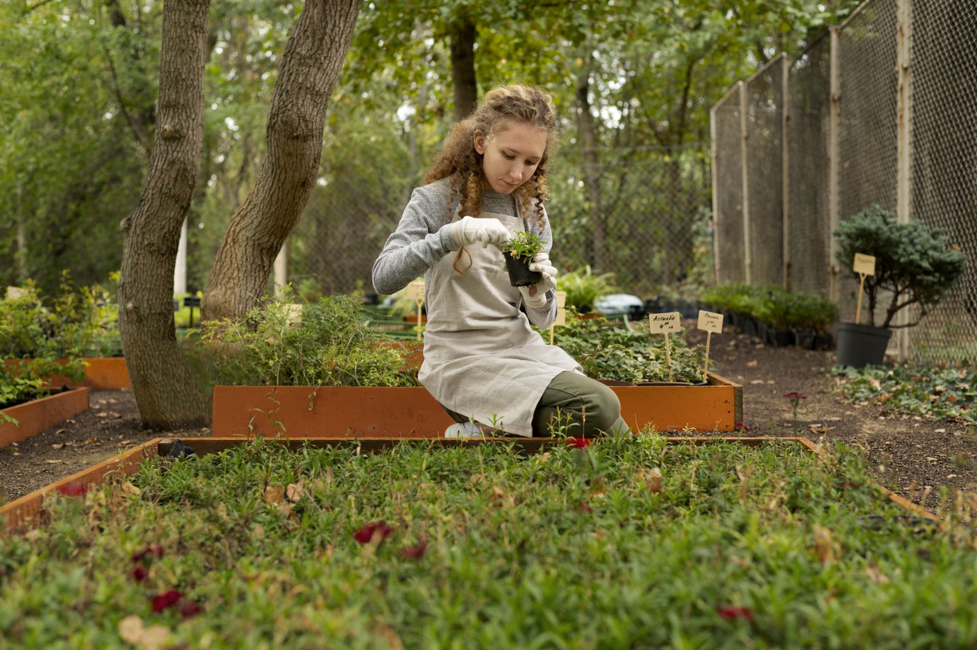 Май коңгызыннан ничек арынырга?