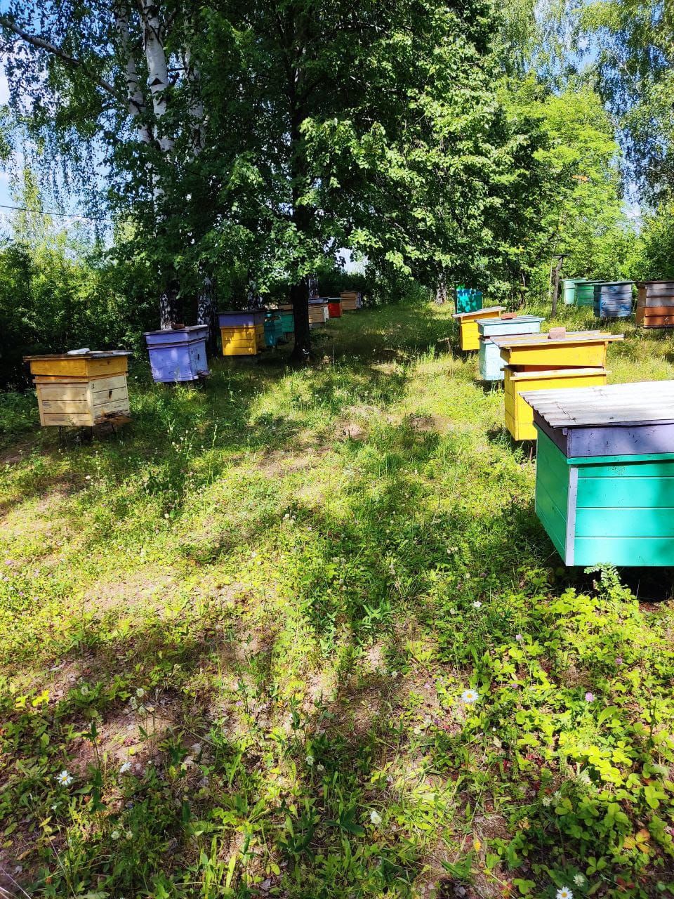 Балга бәяләр тагын дә үсәчәк?