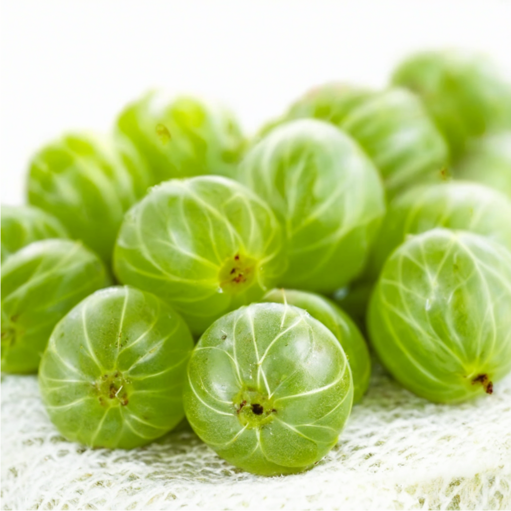 Крыжовниклы компот ясау рецепты