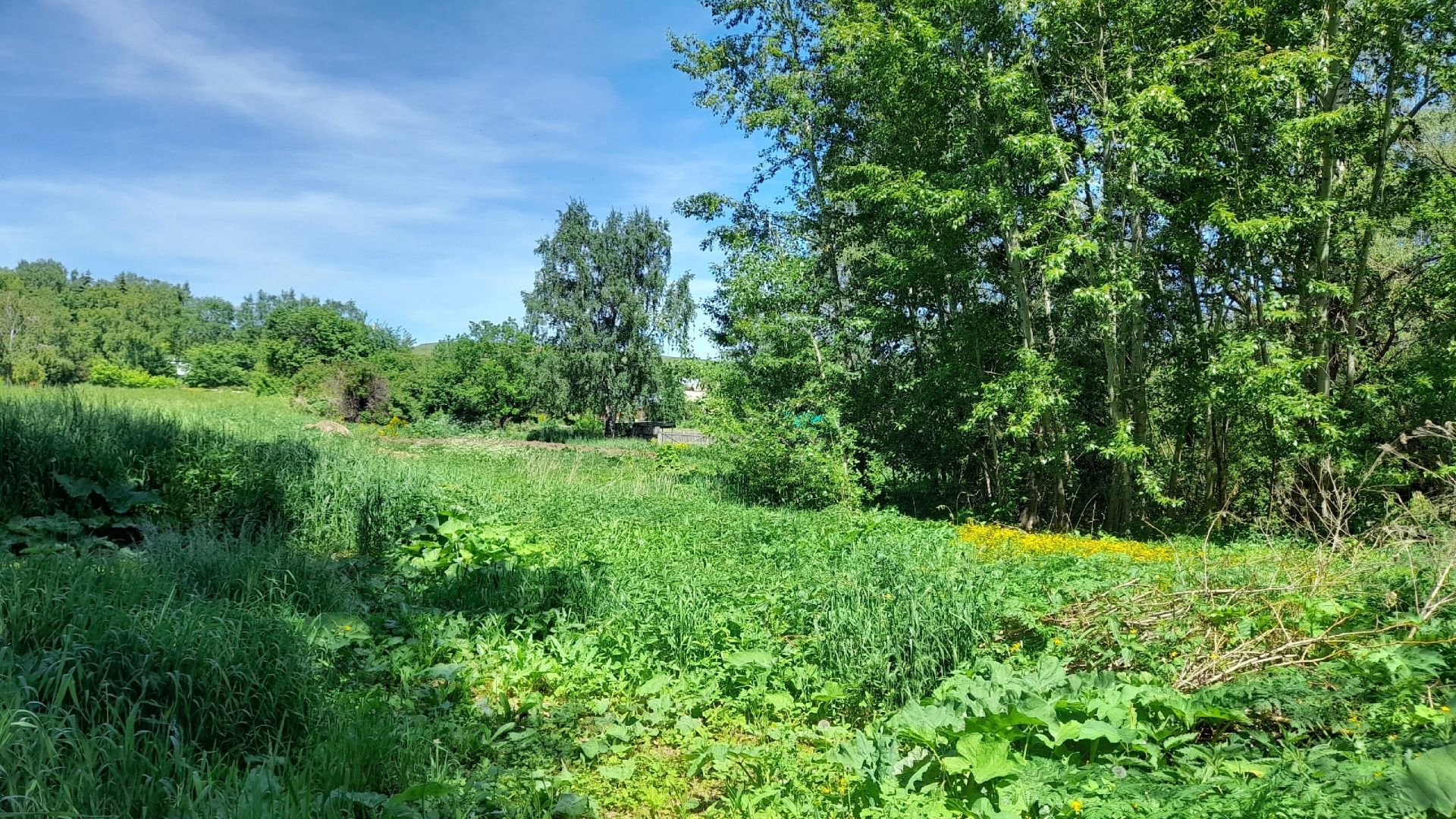 Җәй башлану белән илтеп куялар иде, ә анда... Анда үзгә тормыш...