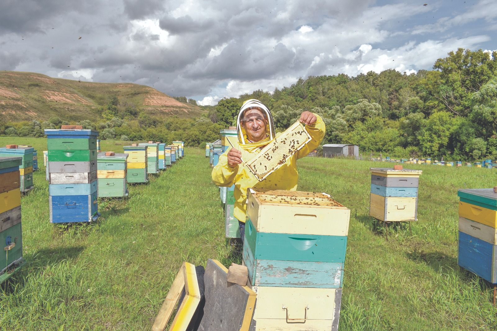 Бал кортларын да саныйлар, умарталарны чиплыйлар