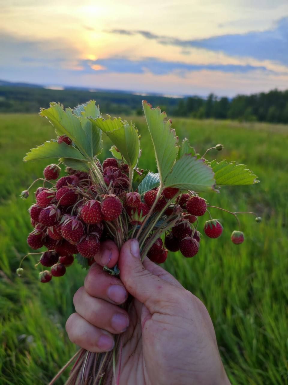 Җир җиләге чистарта торган җайланманы кайчан уйлап чыгаралар?