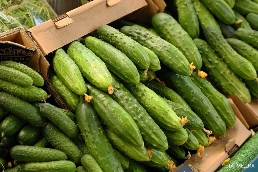 Көзгә кадәр кыяр җыюның 5 сере