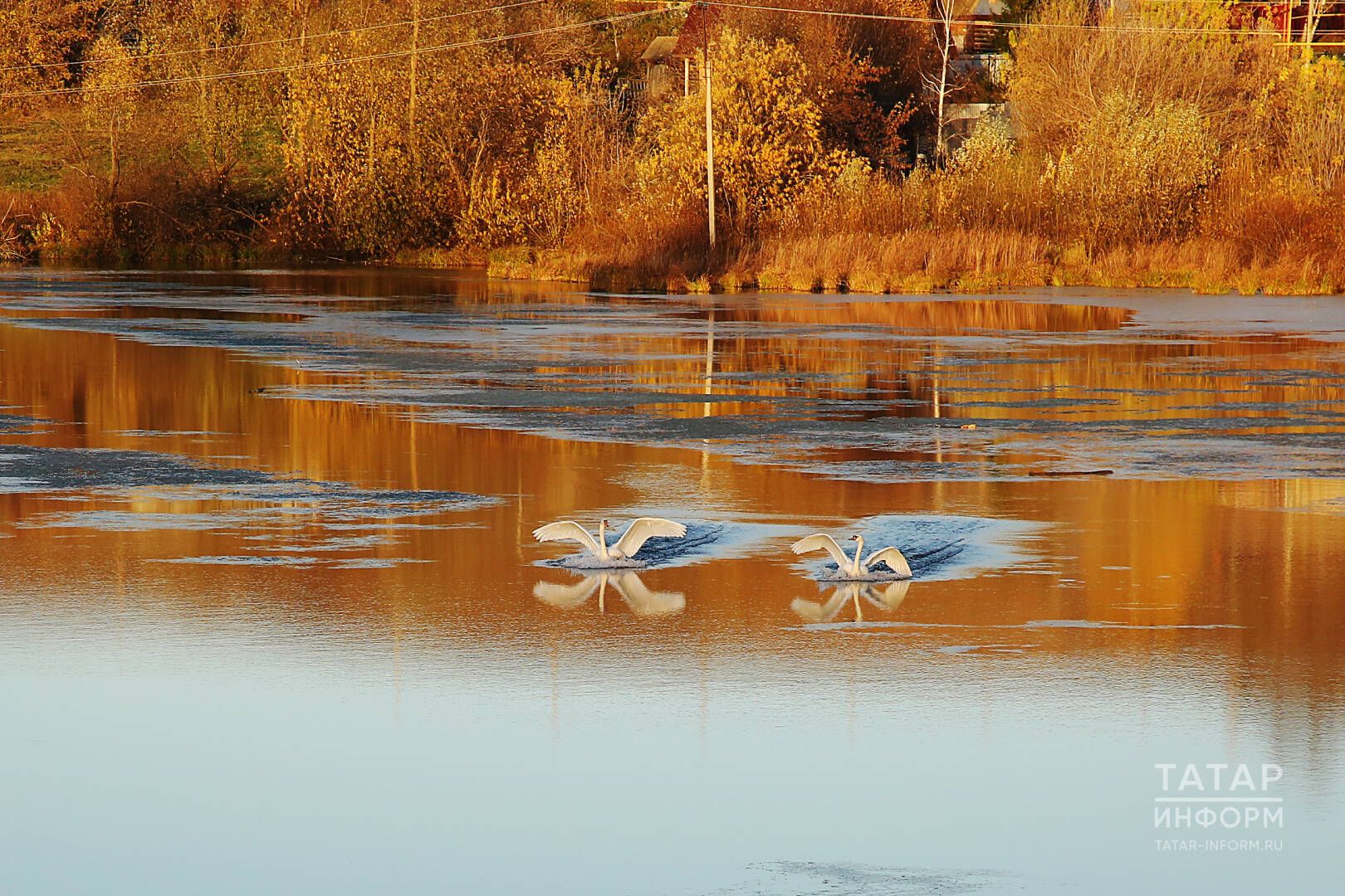 Якыннарыгыз сезнең игътибарга сусаган: 10-16 сентябрьгә йолдызнамә