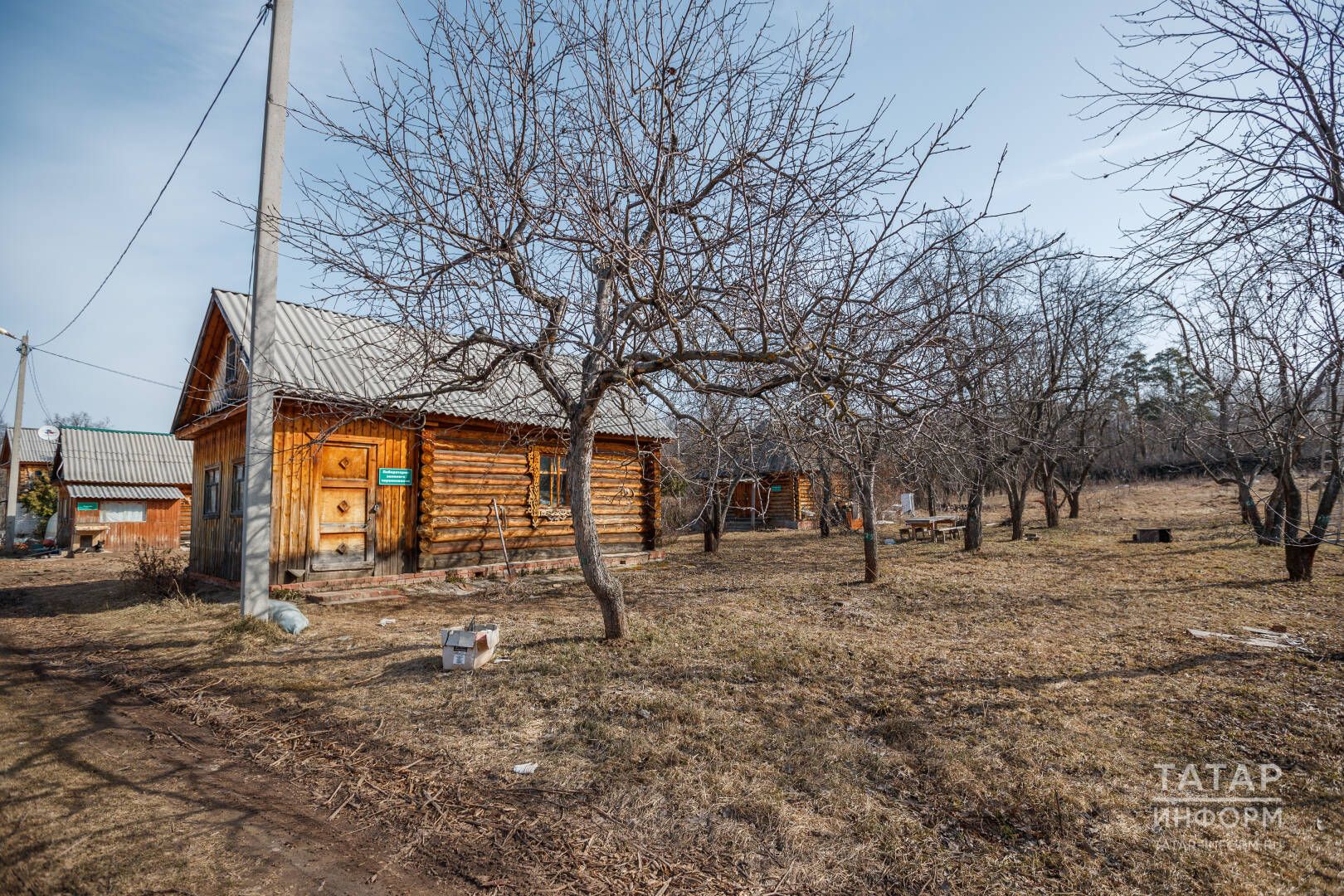 Алманы кышка ничек сакларга?