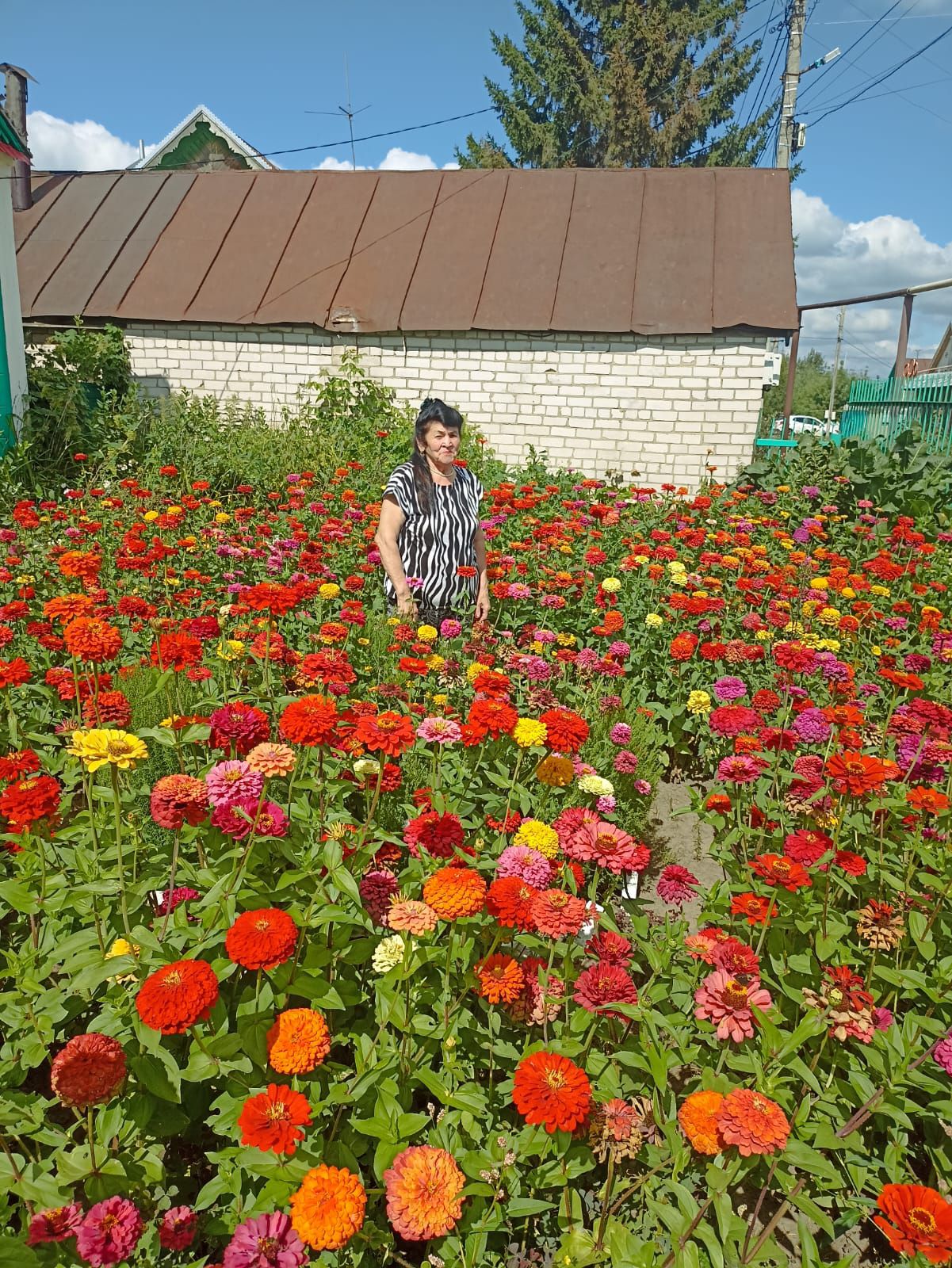 «Хәтта ирләр дә бакчамны күреп, хатыннарына циниядән кала башка чәчәк үстереп тә торма, диләр»