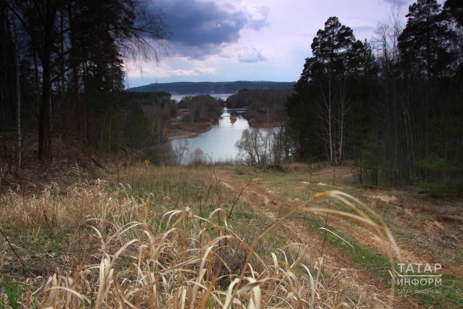 Әкәмәт дөнья. Хәлимә ул — пәри кызы, улым!