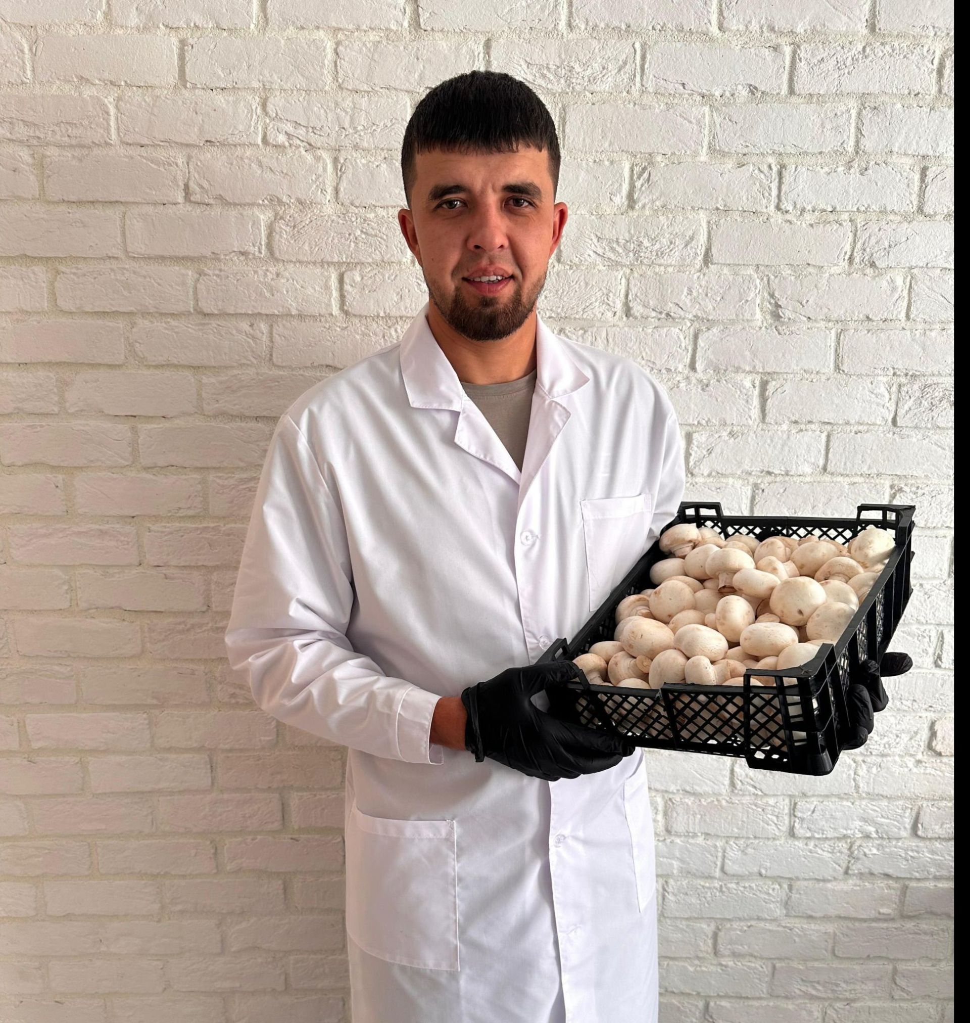 Казанда метро төзи, ә авылда гөмбә үстерә