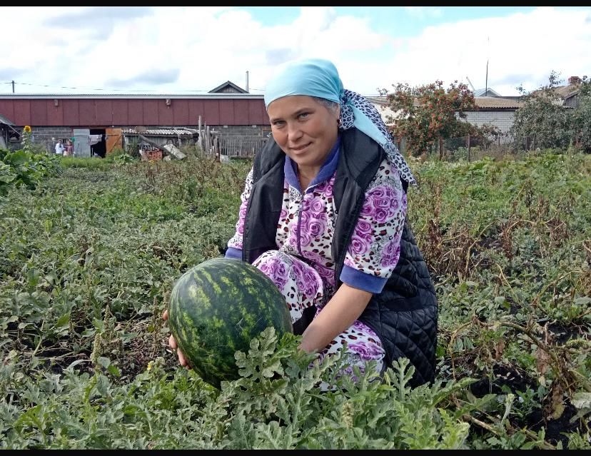 11-13 килограммлы карбызлар үстергән