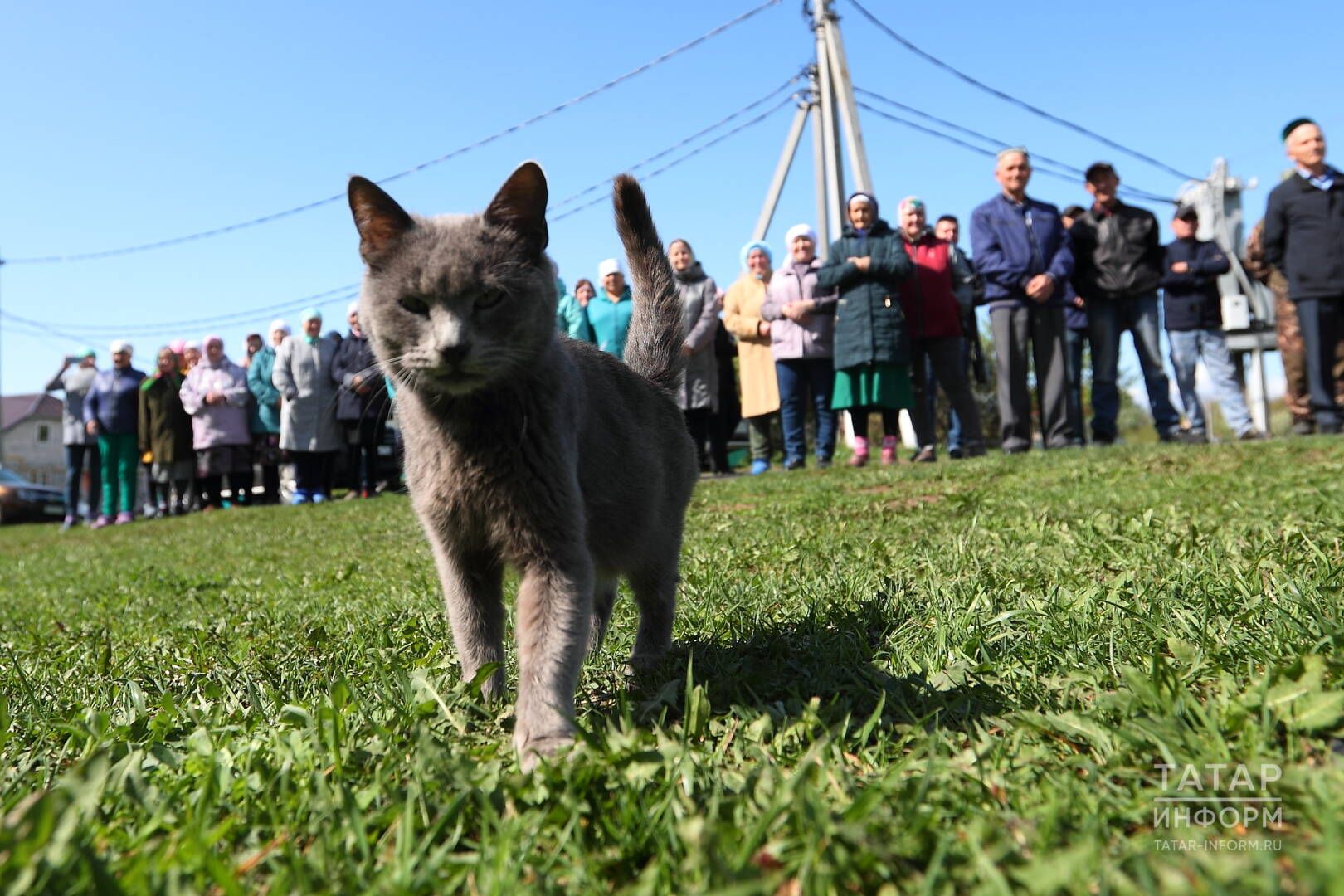 Кешегә начарлык теләсәң, үзеңә әйләнеп кайта дигән сүз дөресме?