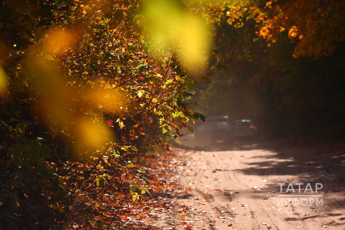 Кыюлыкны җыегыз һәм алга! 03- 09 сентябрьгә йолдызнамә