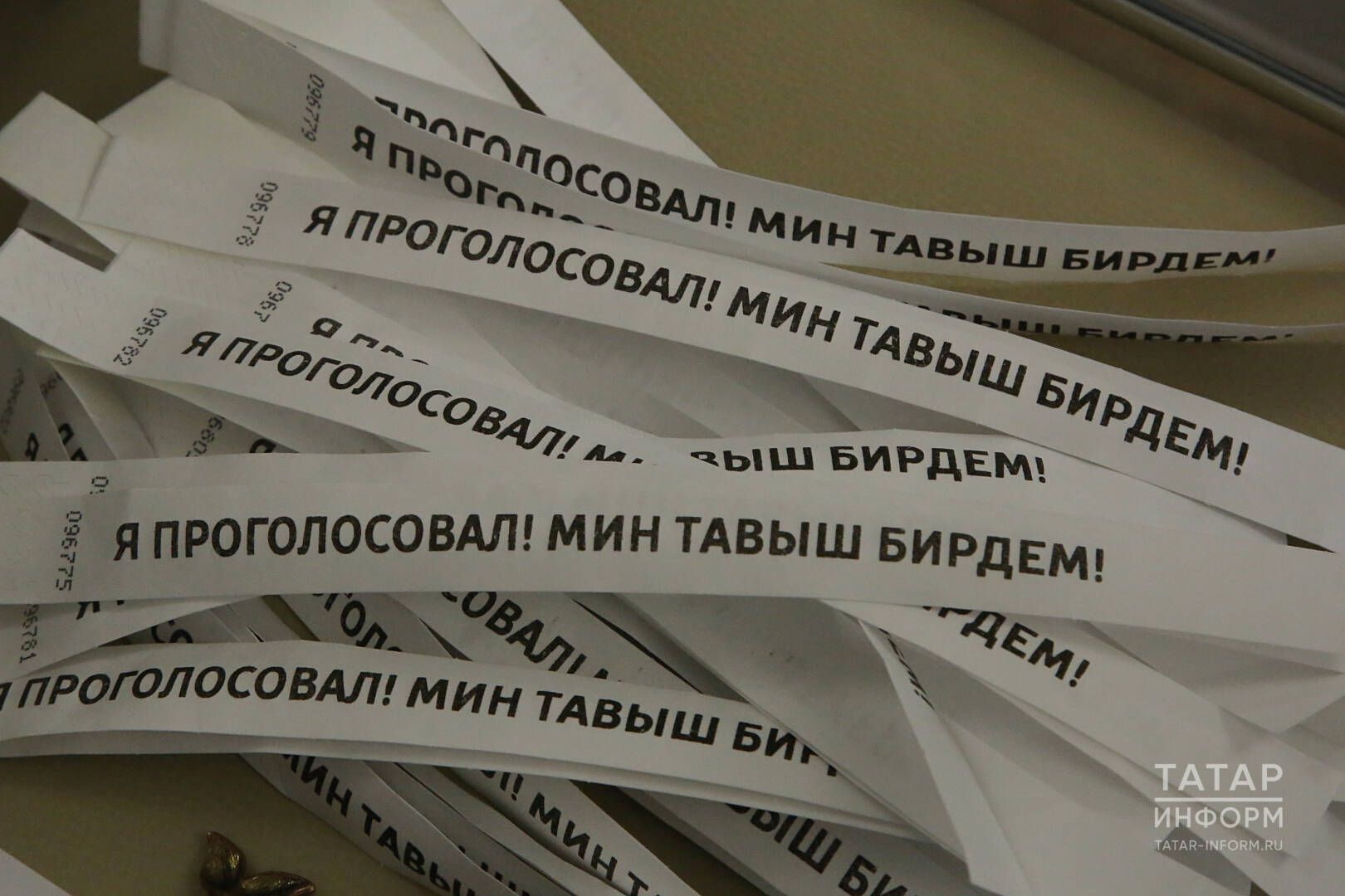 Сайлаулар турында сорауларга җаваплар. Бюллетеньдә ничек тамга салырга?