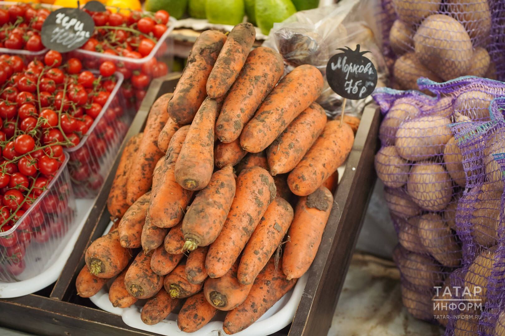 Кишер чебененнән ничек котылырга?