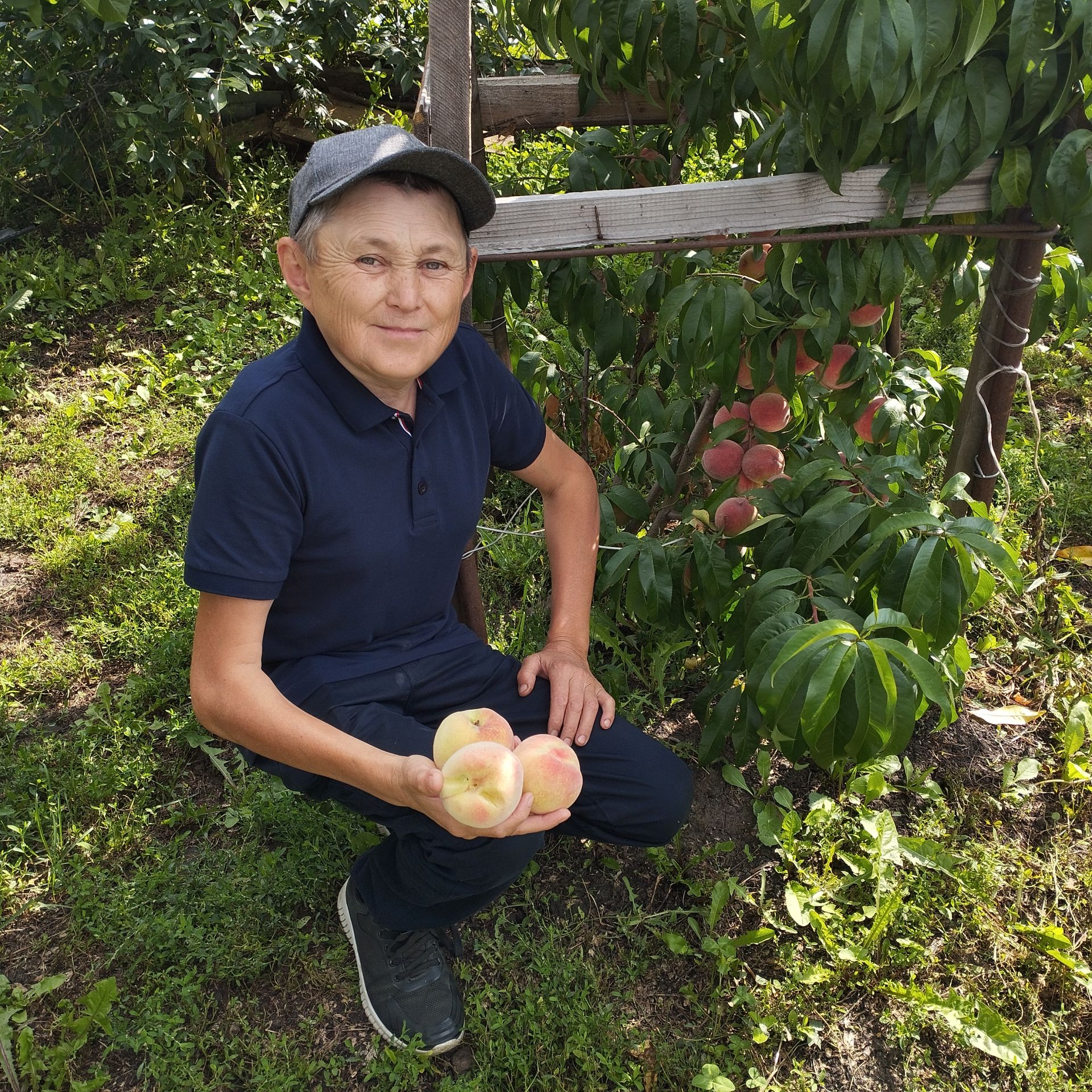 Чүпрәле Мичуринының бакчасында персикның гына да унбер төр сорты бар