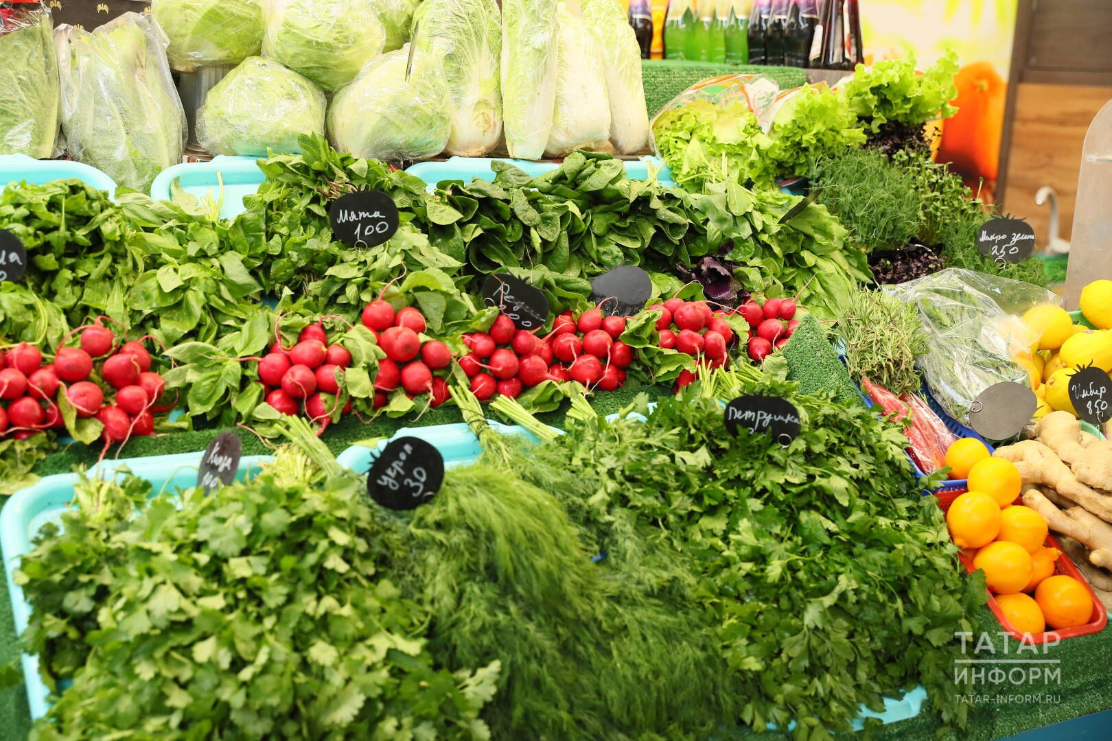 Тәрәзә төбендә петрушка үстерү СЕРЛӘРЕ