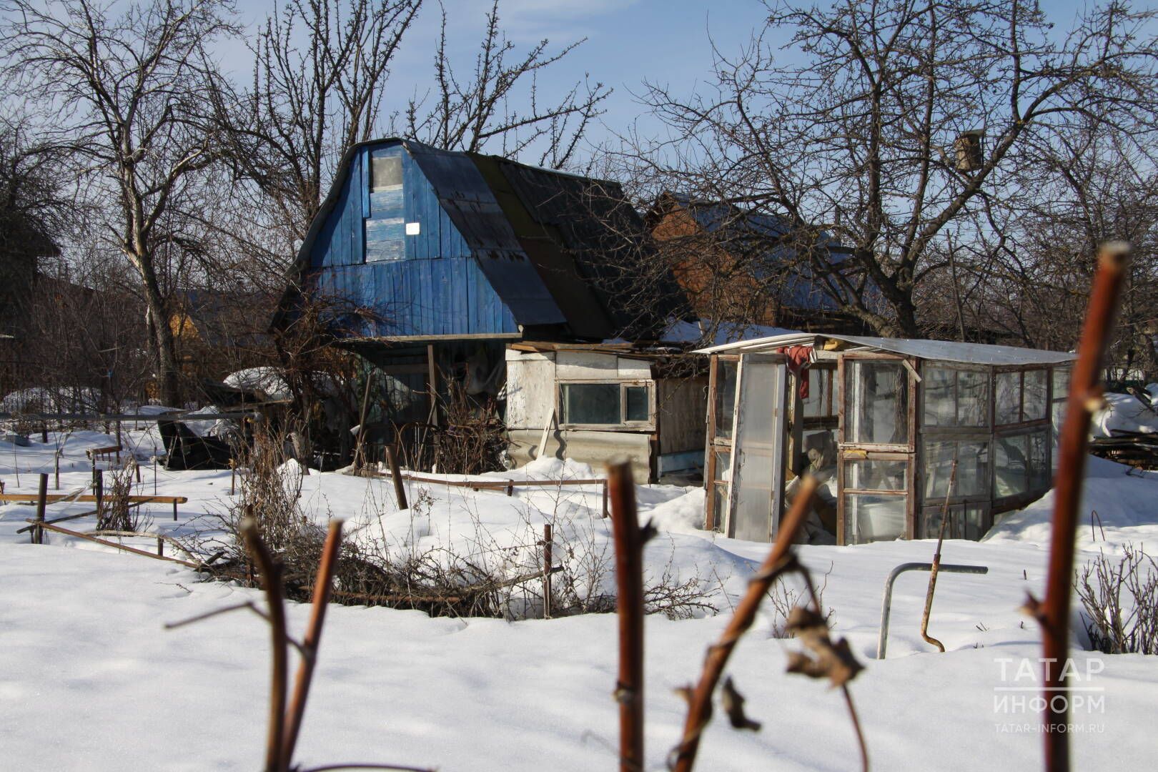 Җылы түтәлдән бозауга кадәр: тәҗрибәле киңәшләр