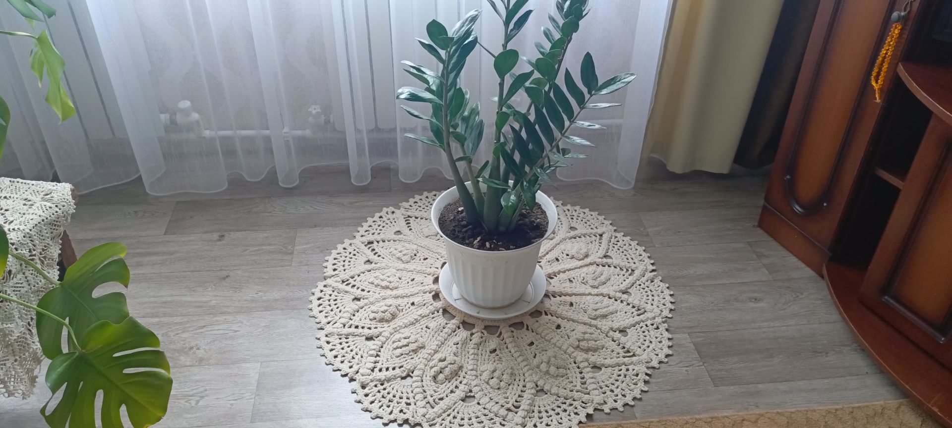 «Аның кулы тигән җирдә кояш нуры эленеп кала…»