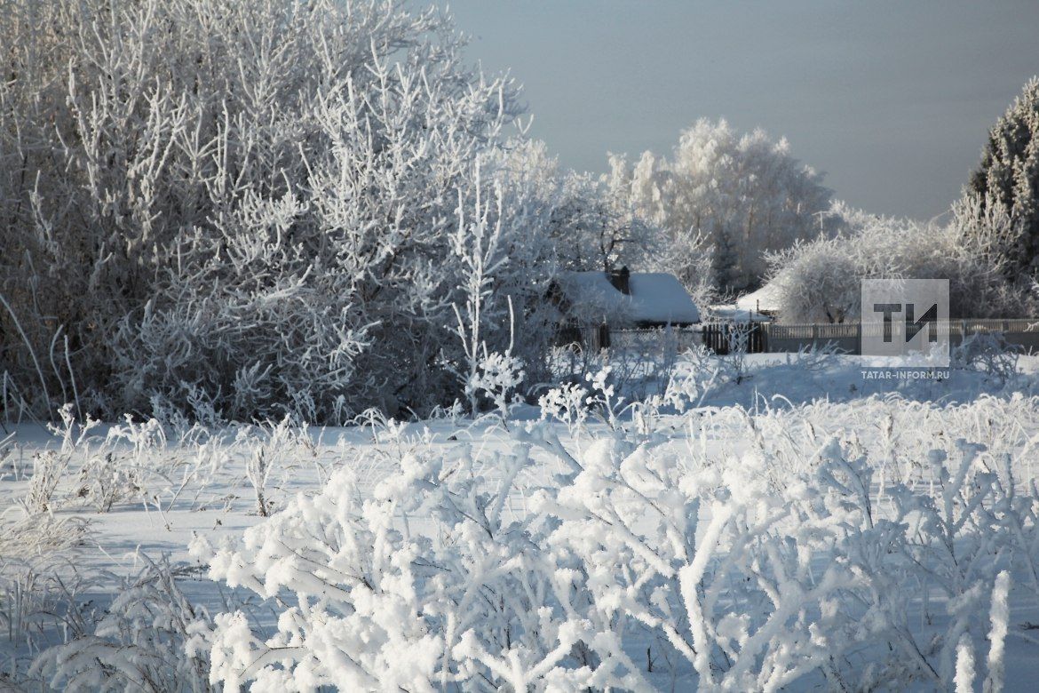 «Иремнең башка хатын белән йоклаганын күрдем»