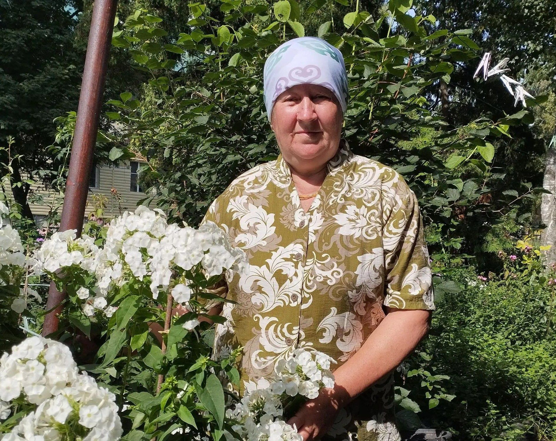 Бәрәңгедән ике тапкыр уңыш ала, 12 килолы карбызлар үстерә: бакчачы серләре