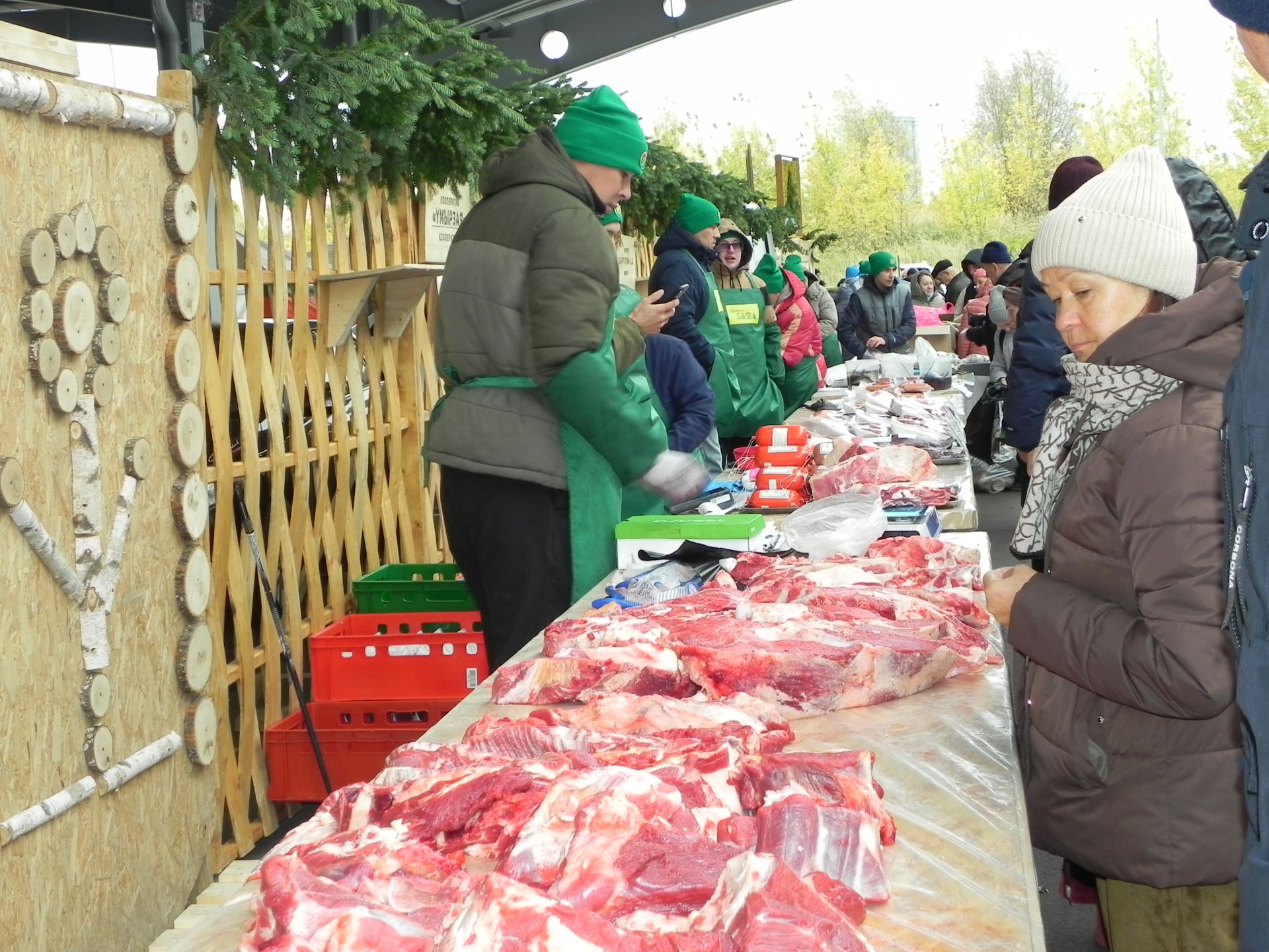 Үрдәкләр хуҗаларыннан китәргә теләми