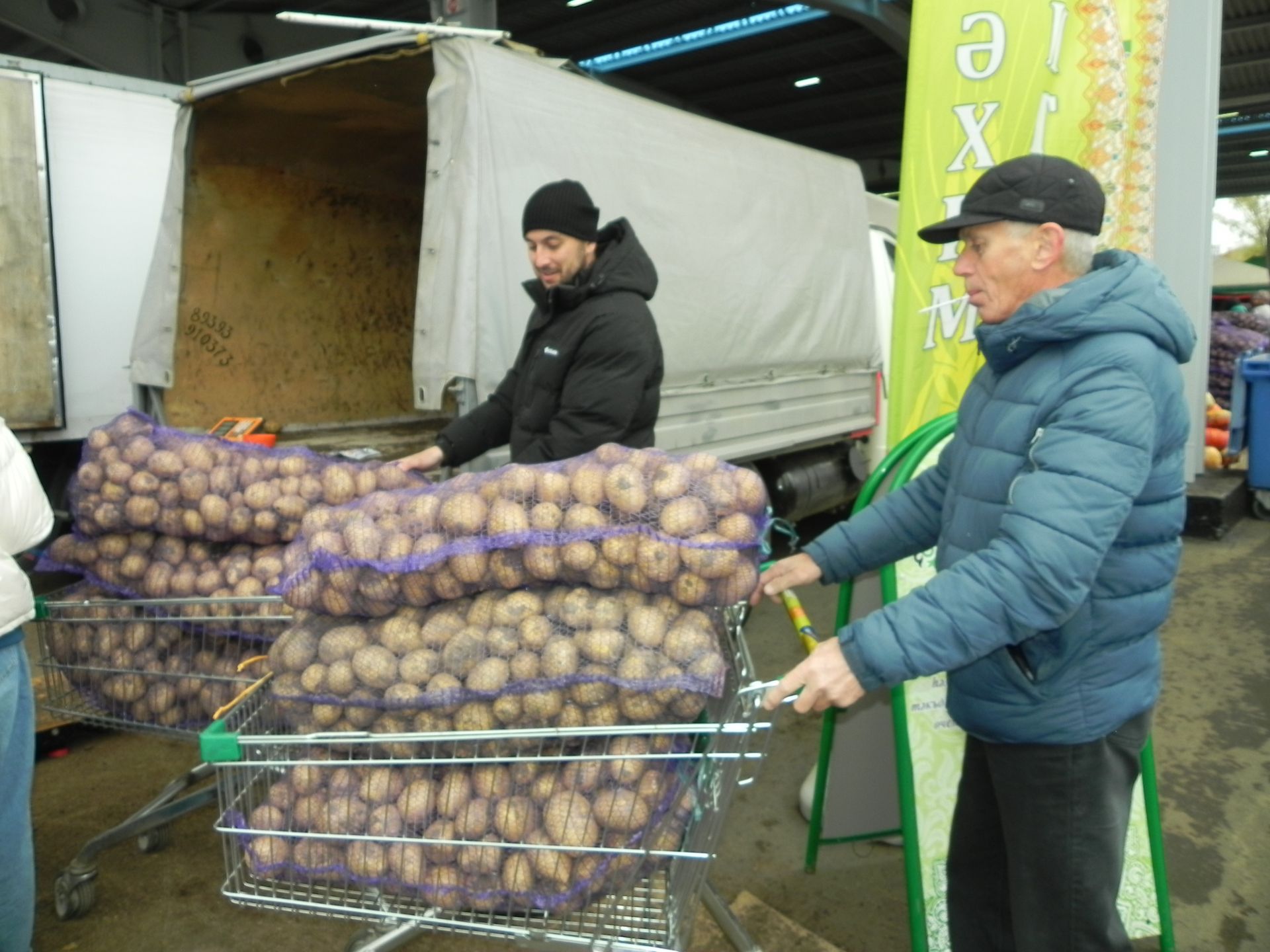 Үрдәкләр хуҗаларыннан китәргә теләми
