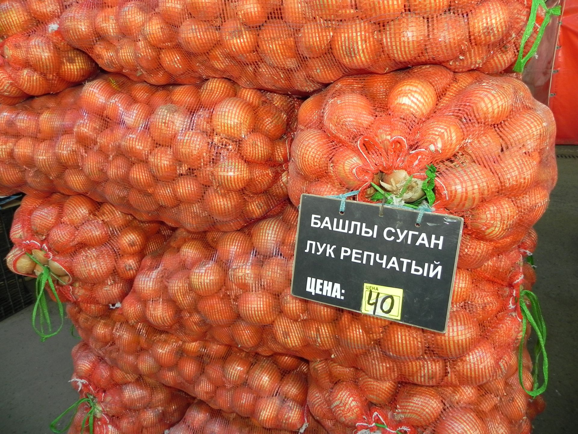 Үрдәкләр хуҗаларыннан китәргә теләми