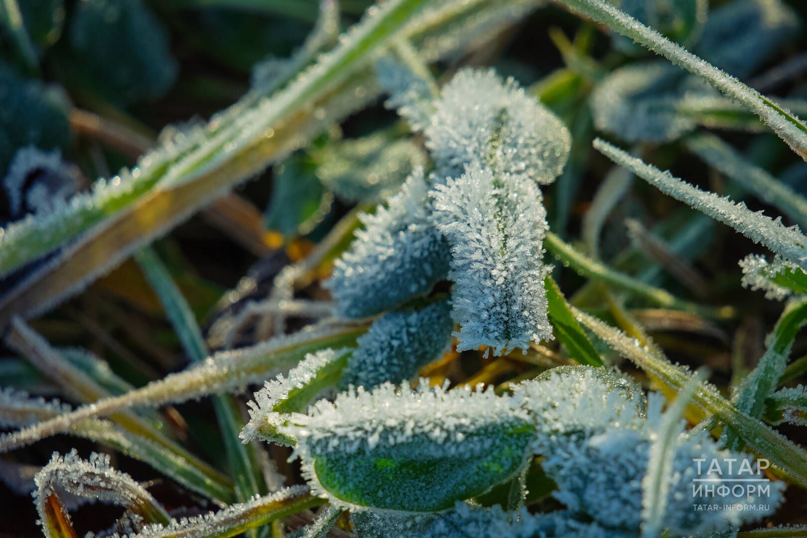 Җитми калды күңелемә синең җылың (хикәянең икенче өлеше)