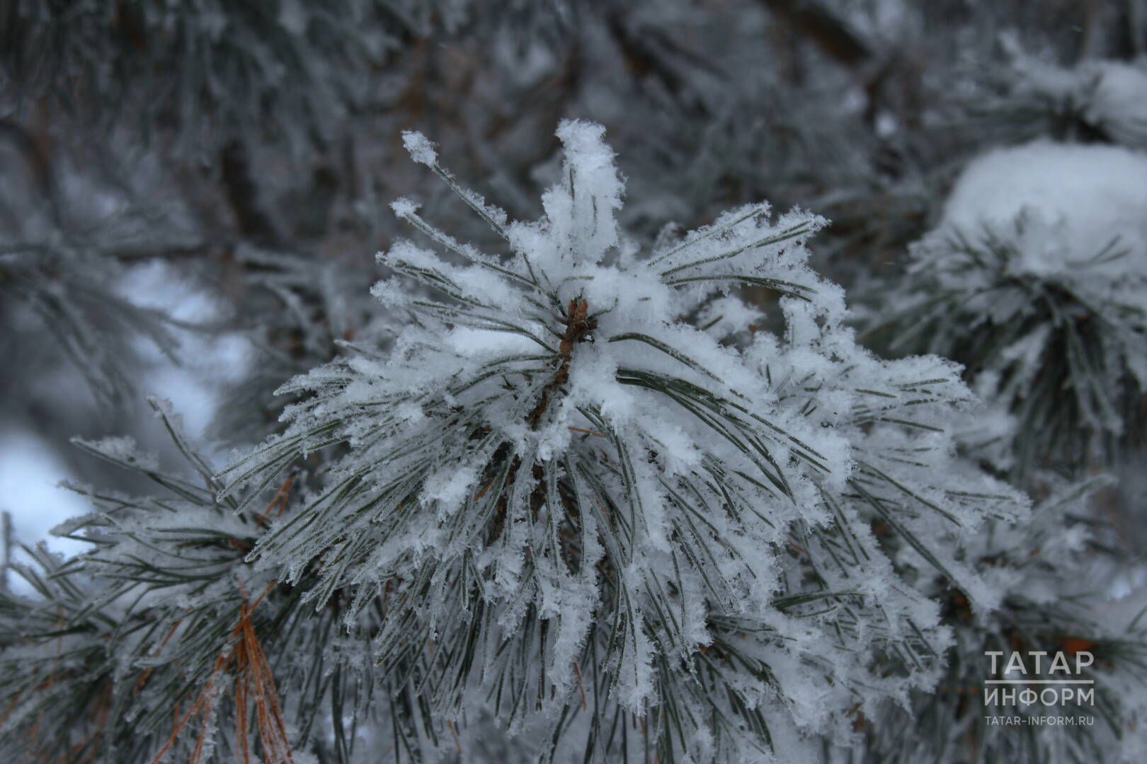 Йолдызлардан киңәш: 18–24 февральдә нәрсәгә игътибар итәргә?