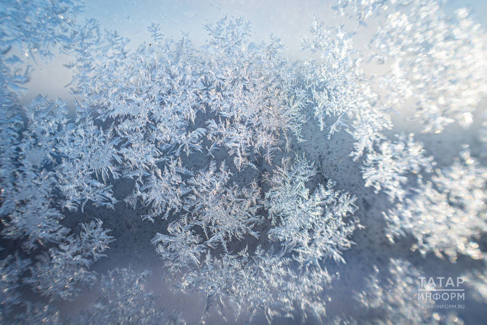 Хыял да нык нигезне ярата: 6-12 февральгә йолдызнамә