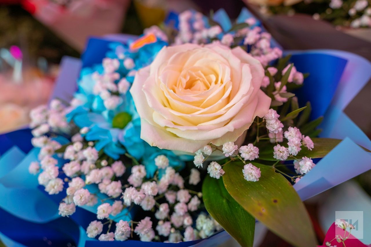 Укытучыга кыйммәтле бүләк бирергә ярыймы? Канун нәрсә ди