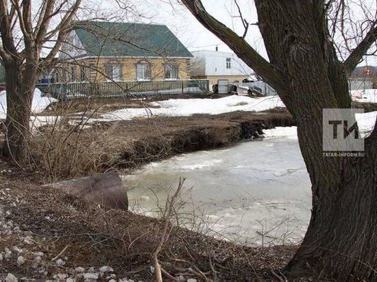 Дамир Бәдриев/ «Тел кычытуы» юмореска
