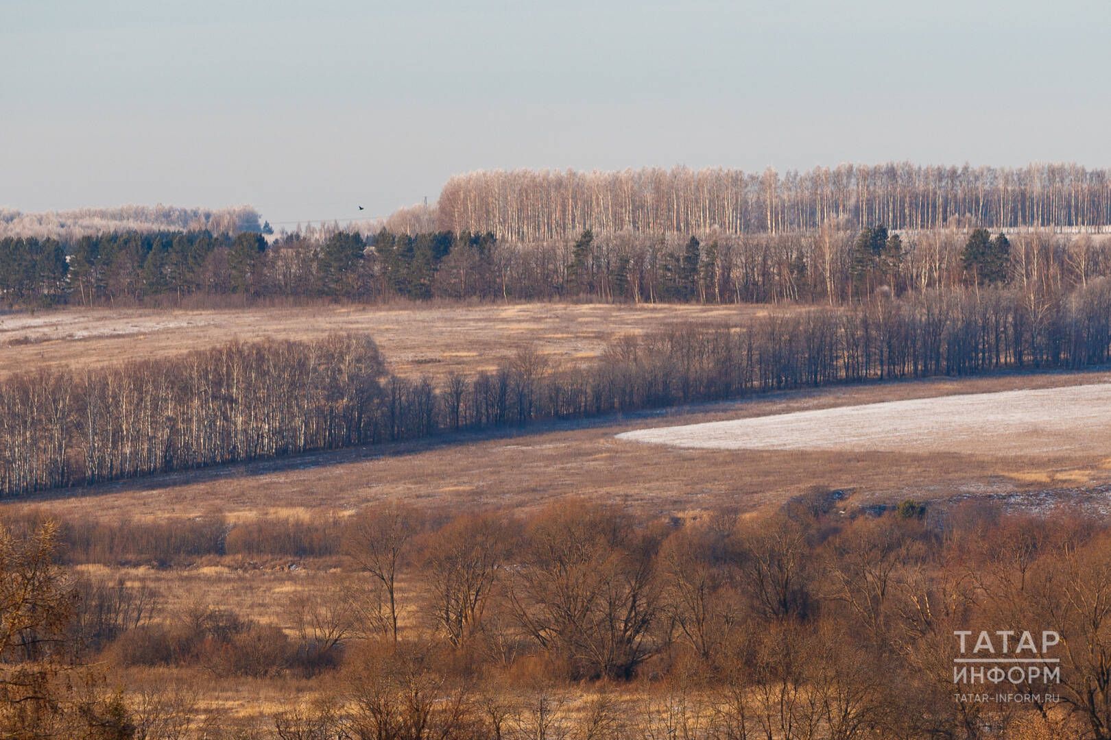 «Рәнҗеш галәмәте»: явызлык кире әйләнеп кайта
