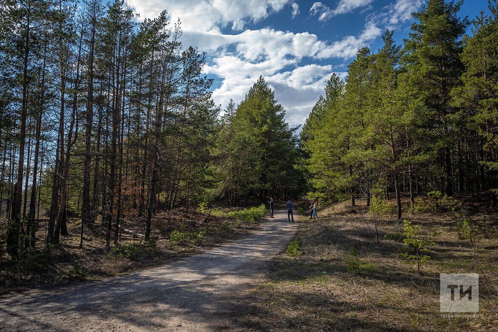 Аюларга ау кайчан башланачак?