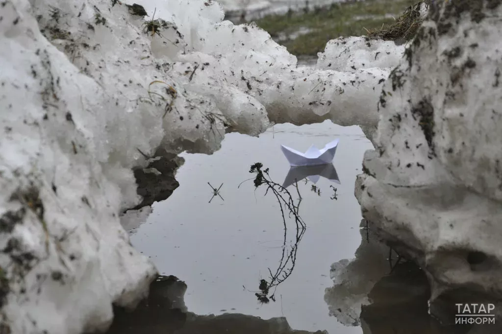 Сезнең юмор конфликтларга китерергә мөмкин: 20-26 мартка йолдызнамә: