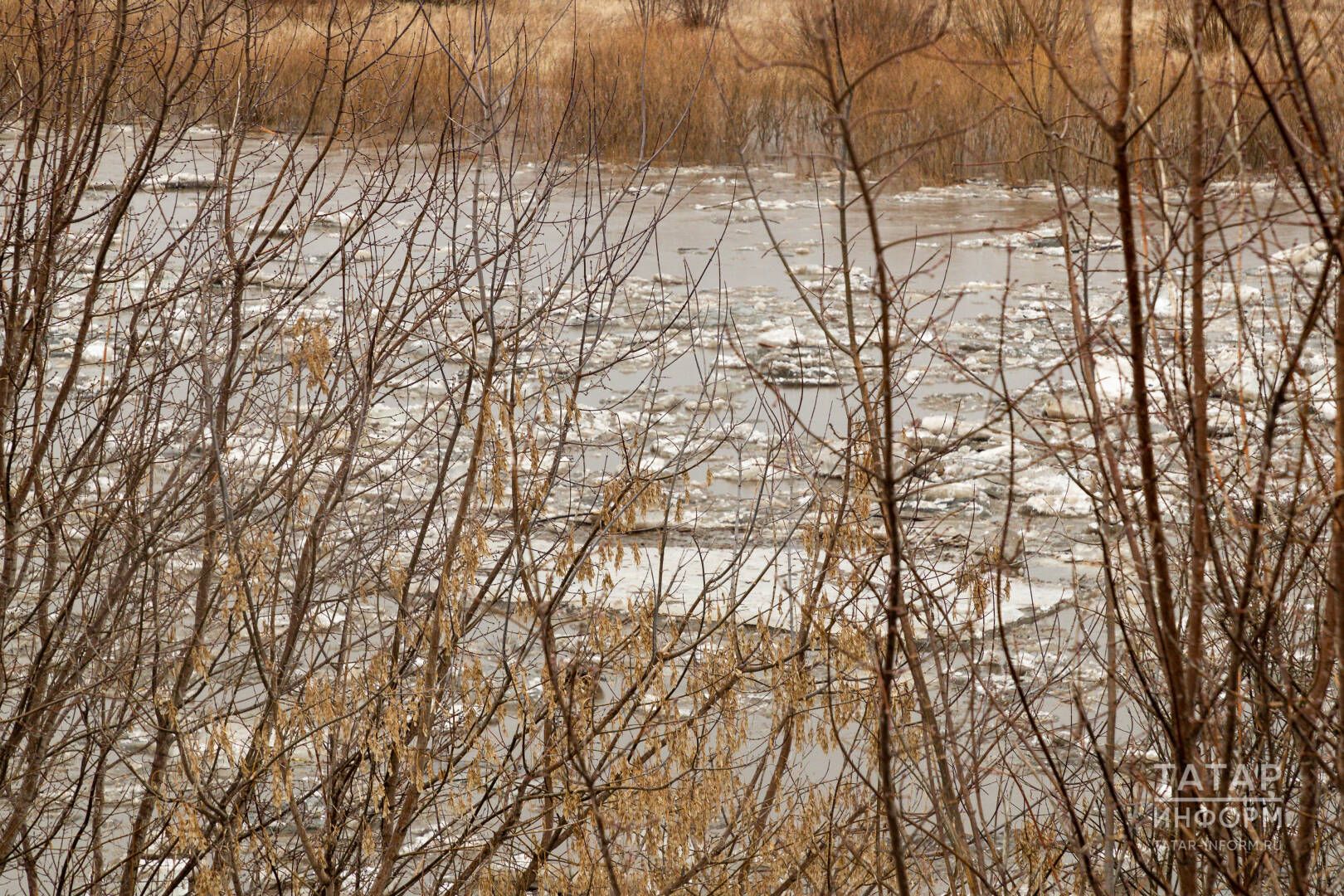 Белгечләр фаразы: кышлар карлырак, җәйләр яңгырлырак булачак