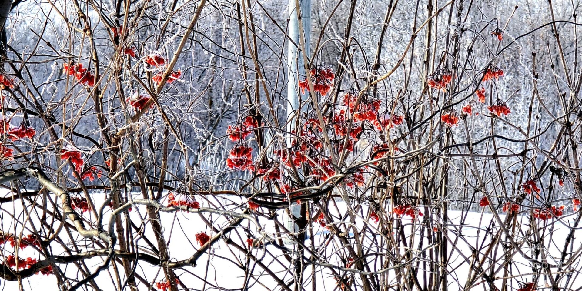 Бәлки, яңа керем чыганагы барлыкка килер. : 25-31 мартка йолдызнамә: