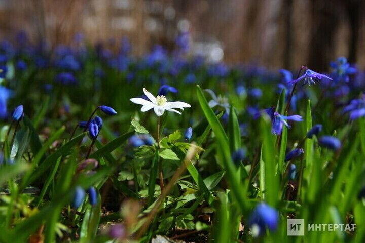 Нәбирә Гыйматдинова «КҮҢЕЛ» (хикәя)