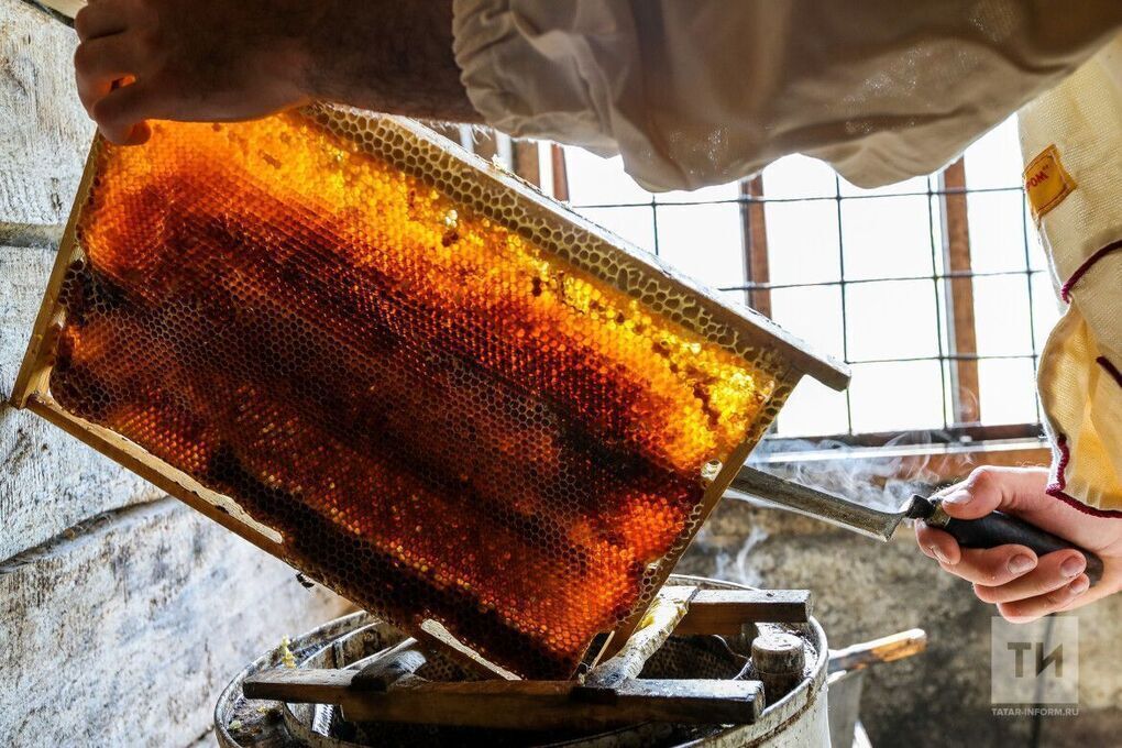 Бал дефицит товарга әйләнмәгәе