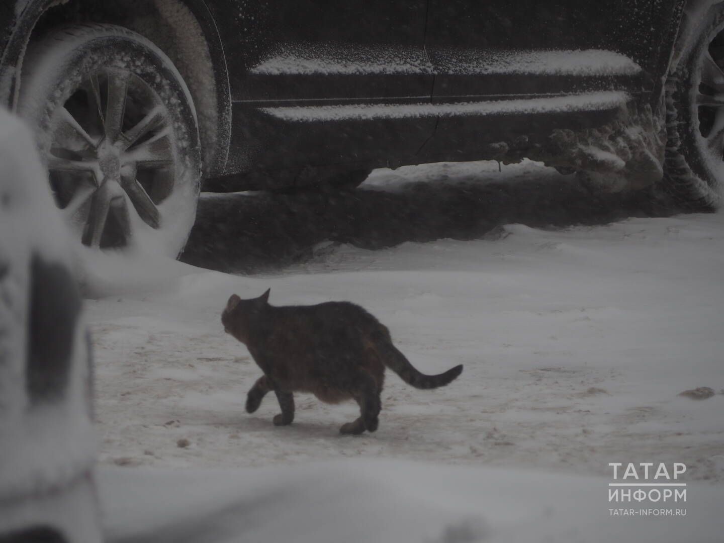 Мистика дими, ни дисең моны?!