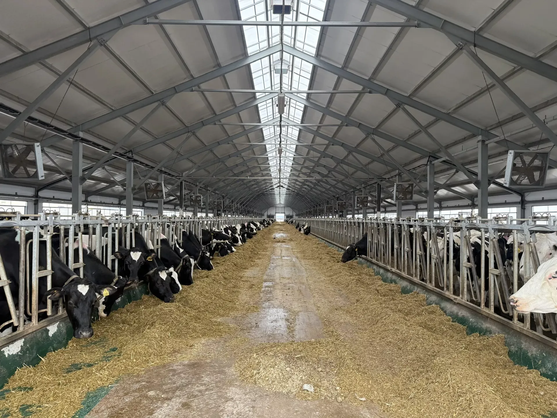 «Алан» хуҗалыгы: терлекчелек тә, өмет тә, яңарыш та