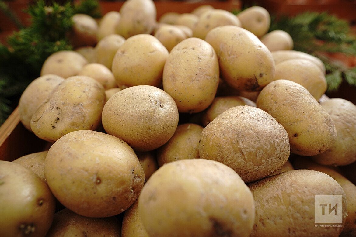 Баздан бәрәңге чыгармадыгызмы әле?