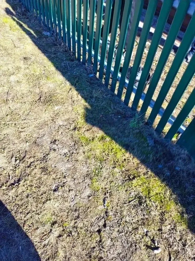 Мамадышта студент-эретеп ябыштыручы егетләр хәрби гаиләсенә ярдәм иткән