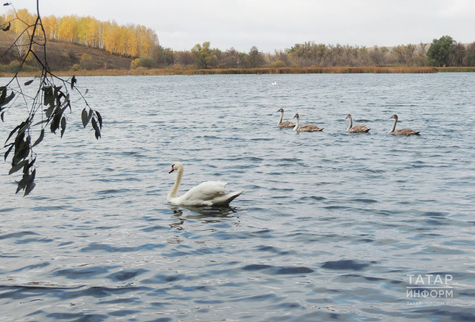 Алданмаска тырышыгыз: 24-30 апрельгә йолдызнамә