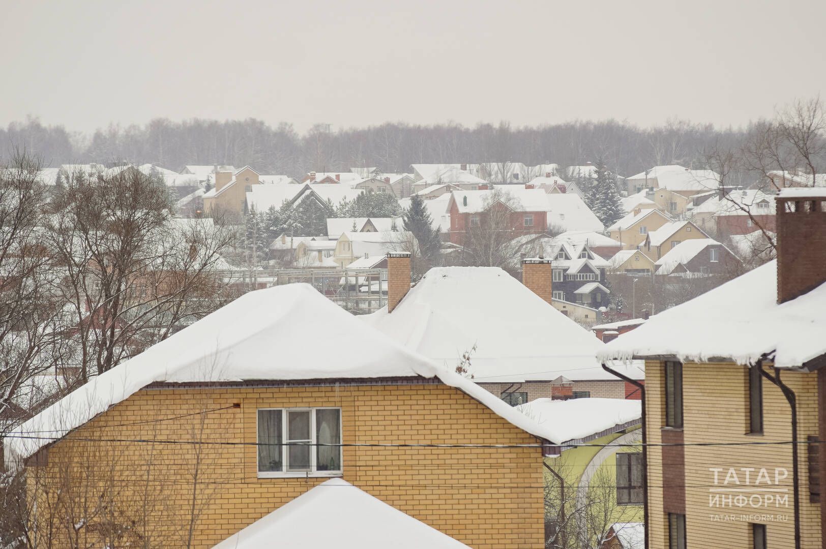 Күрше биек койма корса, сүттереп буламы?