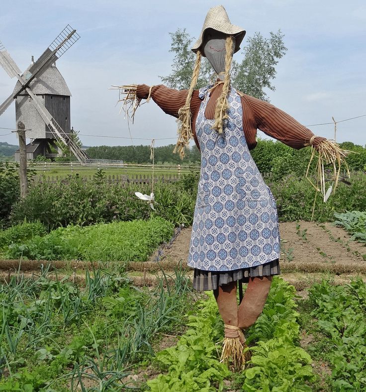 Карачкы калфагы (юмореска)