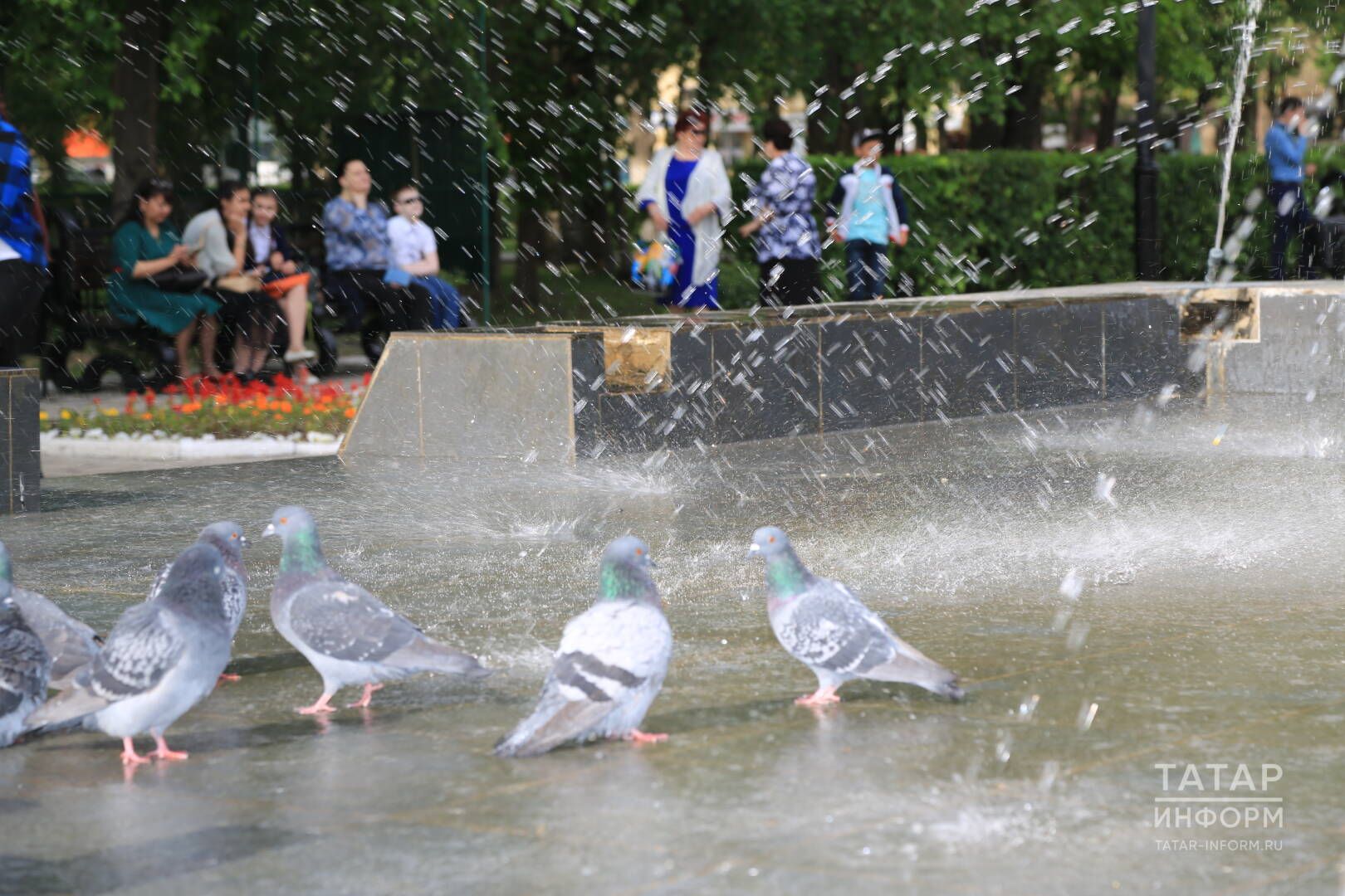 Картайган көнемдә ялгыз калырмын микәнни?