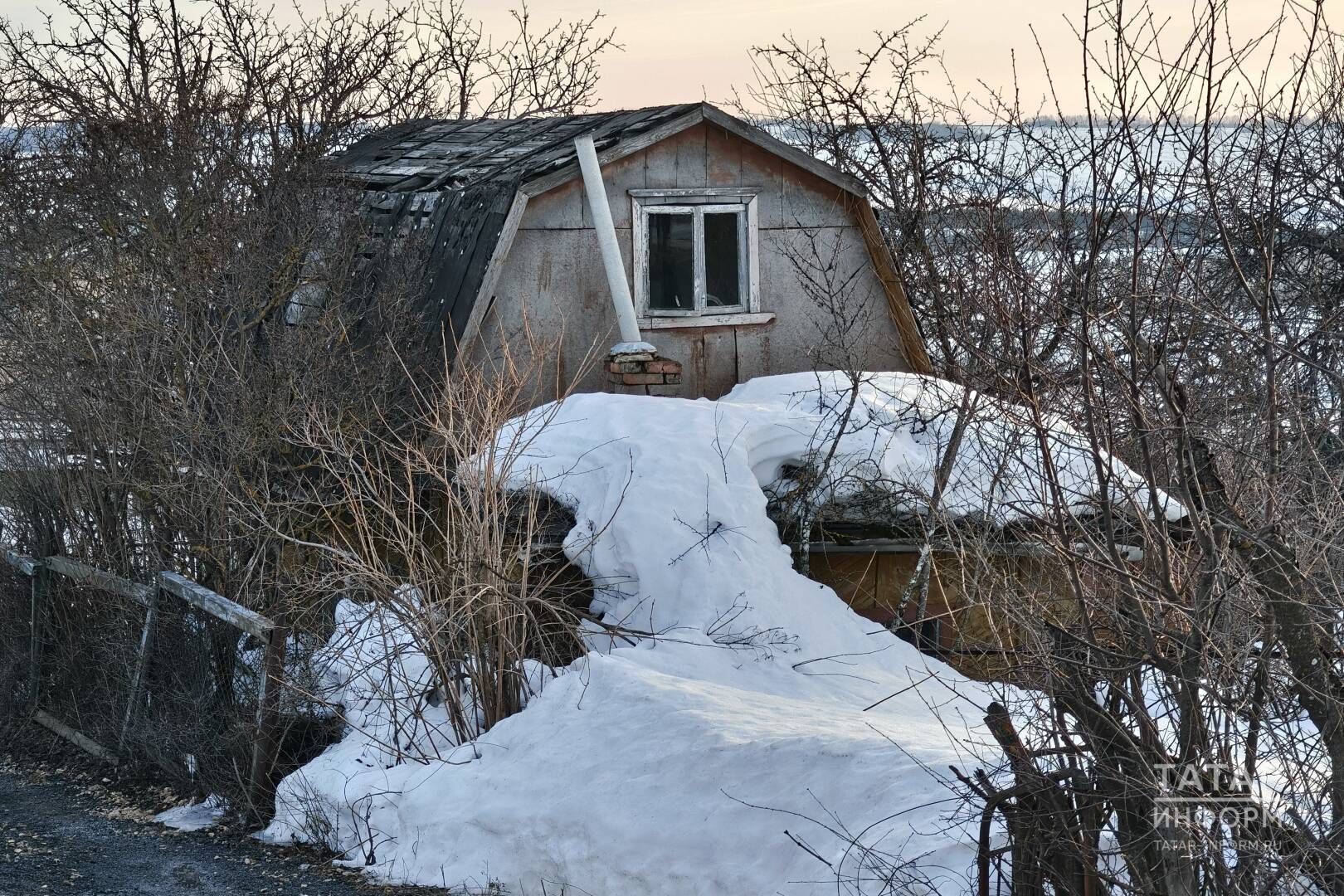 Помидор, борыч, бакалажанны теплицага кайчан утыртырга?