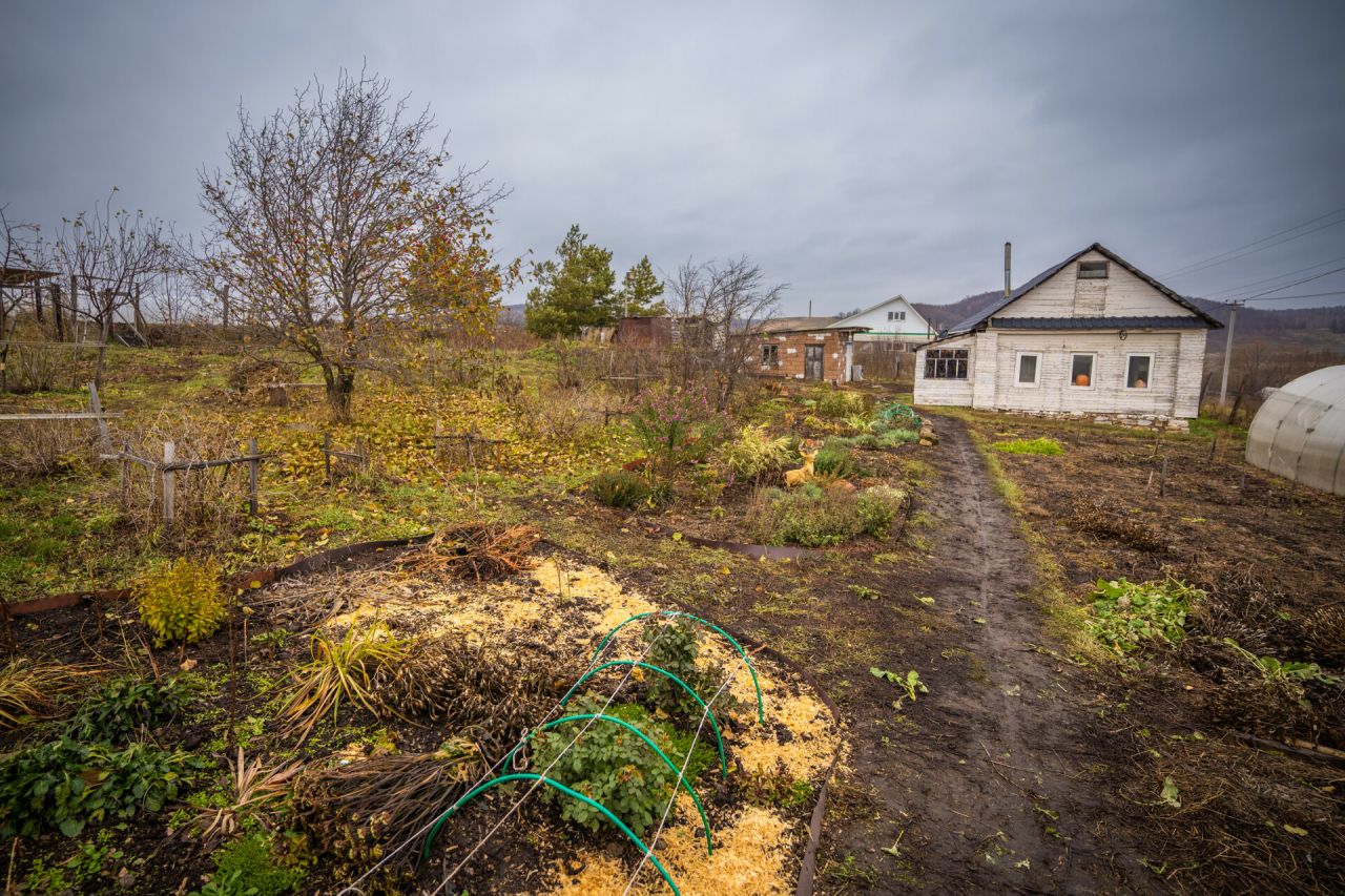 Бакчаны сукыр тычкан басты? Иң нәтиҗәле ысуллар