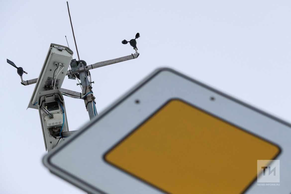 Руль артында телефон кулланучыны камералар терки