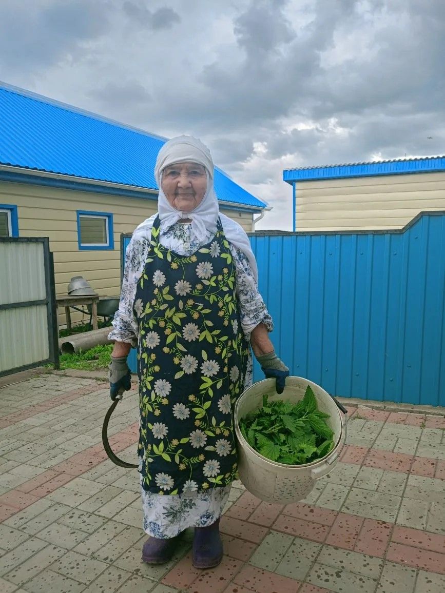 Кукмарадан 92 яшьлек әби киңәше: «Кычыткан белән баш юам»